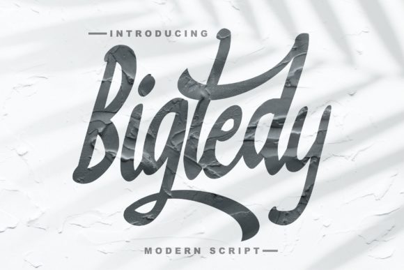 Bigtedy Script Typeface for Timeless Branding Projects