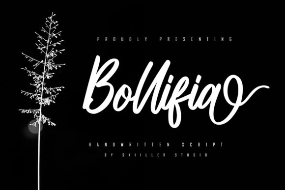 Bollifia Script Font for Editorial Design and Creative Projects