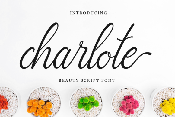 Charlote Script Typeface: Elevating Campaign Visuals with Relaxed Elegance