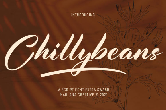Chillybeans Script: Elevating Brand Identity With Elegant Handwritten Typography