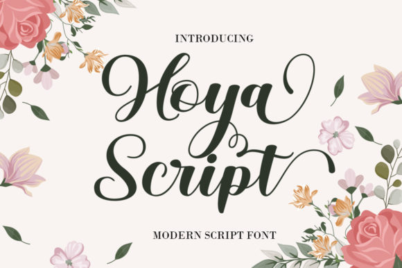 Hoya Script Font for Branding and Creative Projects