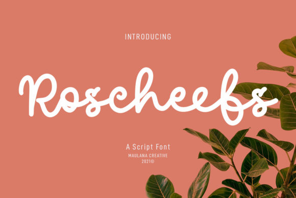 Roscheefs Script: The Typeface That Elevates Your Campaigns